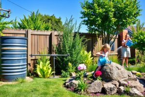 Save Water Today: Essential Water Conservation Tips