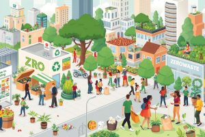Regional Zero Waste Challenges: What You Need to Know