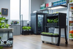 Best Indoor Hydroponic Kits for Your Home Garden